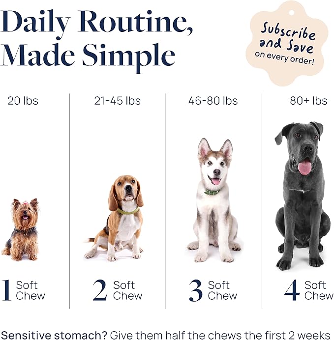 Veterinary Formula Smart Vitality Senior Support Dog Supplements 60ct – Senior Dog Vitamins to Help Promote Mobility, Hip & Joint, Immune Health – Dog Multivitamin with Glucosamine and Chondroitin