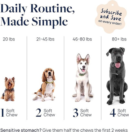 Veterinary Formula Smart Vitality Senior Support Dog Supplements 60ct – Senior Dog Vitamins to Help Promote Mobility, Hip & Joint, Immune Health – Dog Multivitamin with Glucosamine and Chondroitin