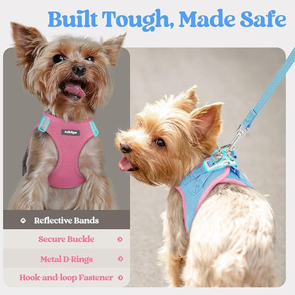 rabbitgoo Dog Harness Medium Sized and Leash Set, Step in Soft Light Puppy Vest, Breathable Mesh Pet Harness, Reflective for Safe Easy Walking, Blue & Light Pink XXL