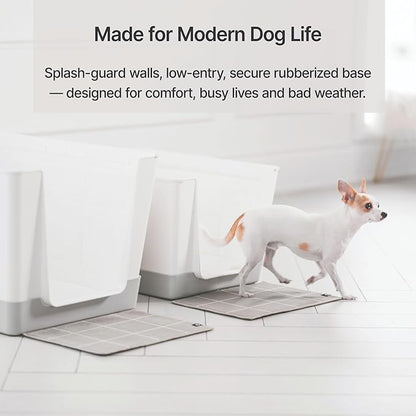 Indoor Dog Potty with High Walls and Low Entry for Small Dogs — Vertical Pad Holder, Splash Guard, and Clean Modern Design by DoggyBathroom (Regular, Light Grey)