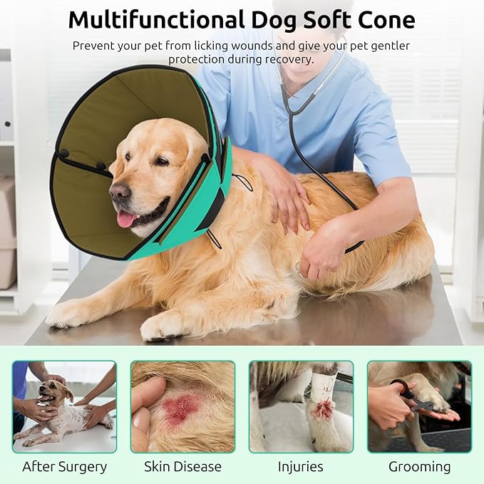 Queenmore Dog Cone Collar, Cone for Dogs to Stop Licking, Dog Cones for Medium Dogs, Adjustable Doggy Recovery Collars & Cones, Elizabethan Collar for Pets After Surgery, Green M