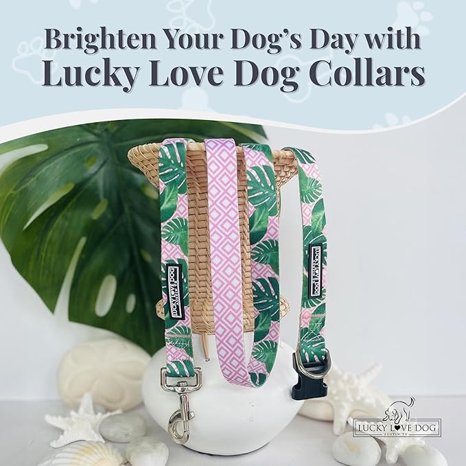 Lucky Love Dog, Tropical Matching Dog Collar & Leash Set, Soft & Comfy, Vivid Pink Color Collar and Leash for Female Male Dogs - (Medium, Laguna Combo)