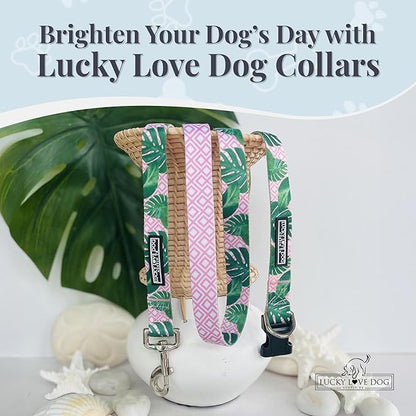 Lucky Love Dog, Tropical Matching Dog Collar & Leash Set, Soft & Comfy, Vivid Pink Color Collar and Leash for Female Male Dogs - (Medium, Laguna Combo)
