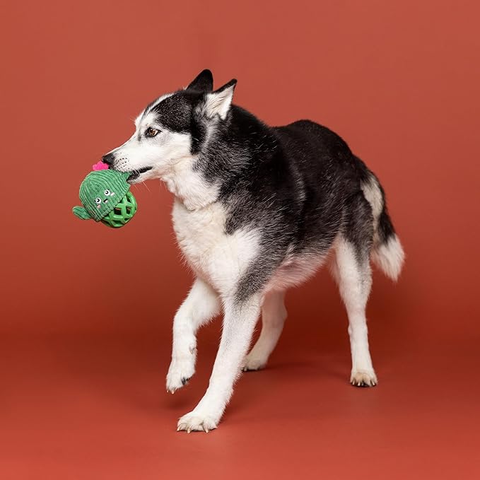 Fringe Studio Rubber Dog Toy, Prickly BUT Sweet, Pet Shop Collection (519055)