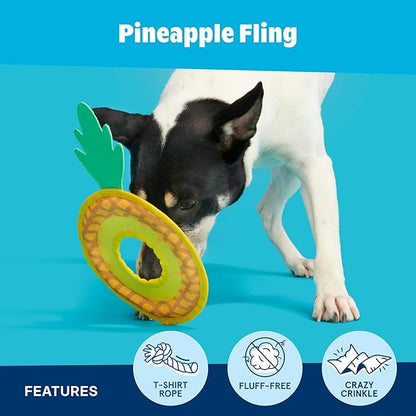 Barkbox Pineapple Fling Flying Disc Dog Toy | Fluff-Free Crinkle Disc with T-Shirt Rope Edge | Durable Fetch Toy for Dogs & Puppies Who Love to Toss & Play
