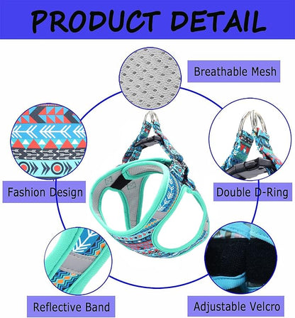Moonpet Step in Boy Dog Harness Leash Set- All Weather Reflective No-Pull Padded Mesh Vest Harness for Cats Puppy Extra-Small Small Medium Large Dogs - Mayan Mysteries - XL