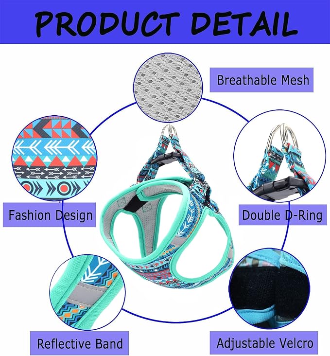 Moonpet Step in Air Dog Harness Leash Set- All Weather Reflective No-Pull Padded Mesh Vest Harness for Cats Puppy Extra-Small Small Medium Large Dogs - Mayan Mysteries - XXS