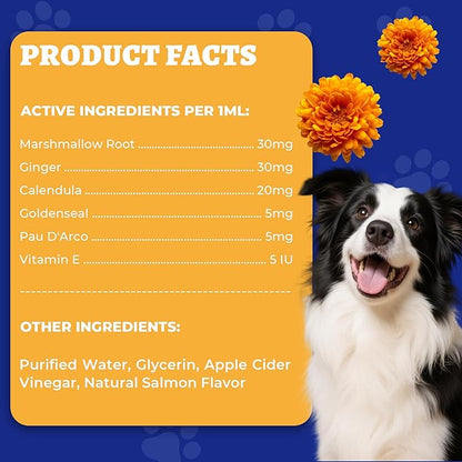 Wellix 120ml Yeast Infection Treatment for Dogs & Cats - Supports Itch,Allergy,Inflammation Relief & Immune Health - Natural Dog Ear Yeast Infection Treatment - Salmon Flavor