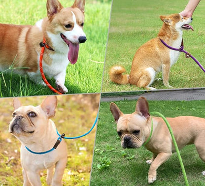 WYUZE 2-Pack 8ft Slip Leads for Dogs No Pull, Reflective Pet Behavior Training Lead, 1/3" Nylon Rope Slip Control Leash for Small Medium Dogs, Black+Pink