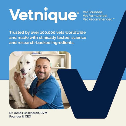 Vetnique Glandex Anal Gland Soft Chew Treats with Pumpkin for Dogs Digestive Enzymes, Probiotics Fiber Supplement for Dogs Boot The Scoot (Bacon Flavor Chews, 60 Count) (Pack of 2)
