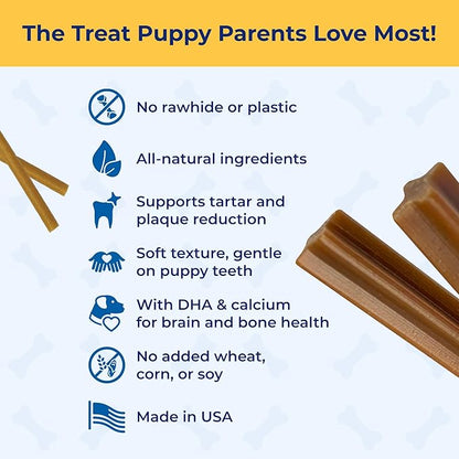 N-Bone Puppy Teething Sticks Variety Pack, Chicken & Pumpkin & Peanut Butter Flavor, Total 3 Bags, 11.22-oz