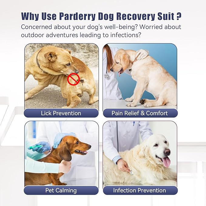 Dog Recovery Suit for Surgery Dog Onesie for Female and Male E-Collar Alternative Anti Shedding Pajamas Long Sleeve Claming Bodysuit Gray L