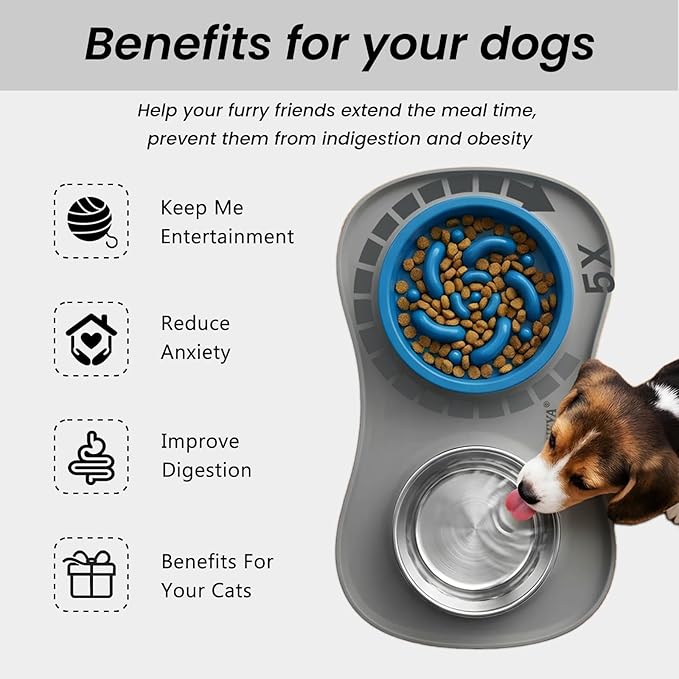 YINEYA Slow Feeder Dog Bowls Stainless Steel Food and Water Bowl Set 3 in 1 No Spill Waterproof Silicone Pet Food Mat Puppy Feeding Station for Large Medium Small Breed Non Slip Metal Dish Tray