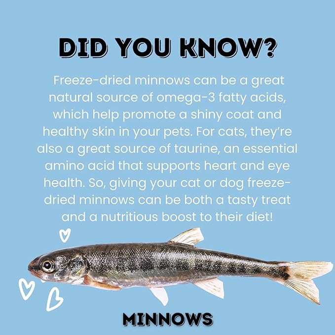 hotspot pets Freeze Dried Minnows Treats for Cats & Dogs (1 Pound Bag Over 400 PCS) Made in USA, All Natural, High Protein, Rich in Omega-3s, Grain-Free, Perfect for Training, Topper or Snack