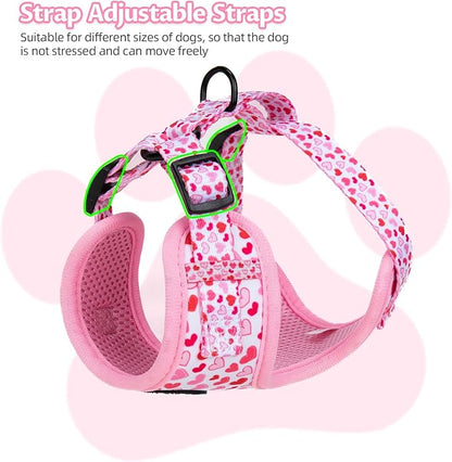 Dog Harness and Leash Set, Adjustable Dog Harness, Dog Leash, No Pull No Choke Puppy Harnesses for Walking Training for Small, Medium Pet (Little Love, L(Chest 19.6-28", Neck 15.7-21.1"))
