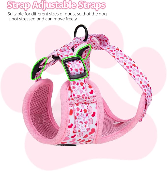 Dog Harness and Leash Set, Adjustable Dog Harness, Dog Leash, No Pull No Choke Puppy Harnesses for Walking Training for Small, Medium Pet (Little Love, XS(Chest 11-13", Neck 9-11"))