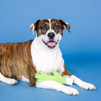 Fringe Studio Stick with ME Lime/White Rubber Dog Toy, Pet Shop Collection (518034)