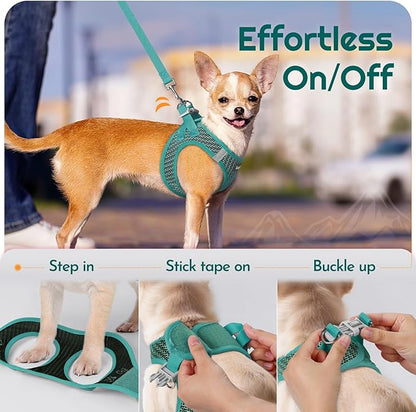 Eagloo Small Dog Harness and Leash Set, Step in Puppy Vest with Breathable Soft Mesh, Walking Reflective Pet Harness for Small Dogs, Forest Green, M