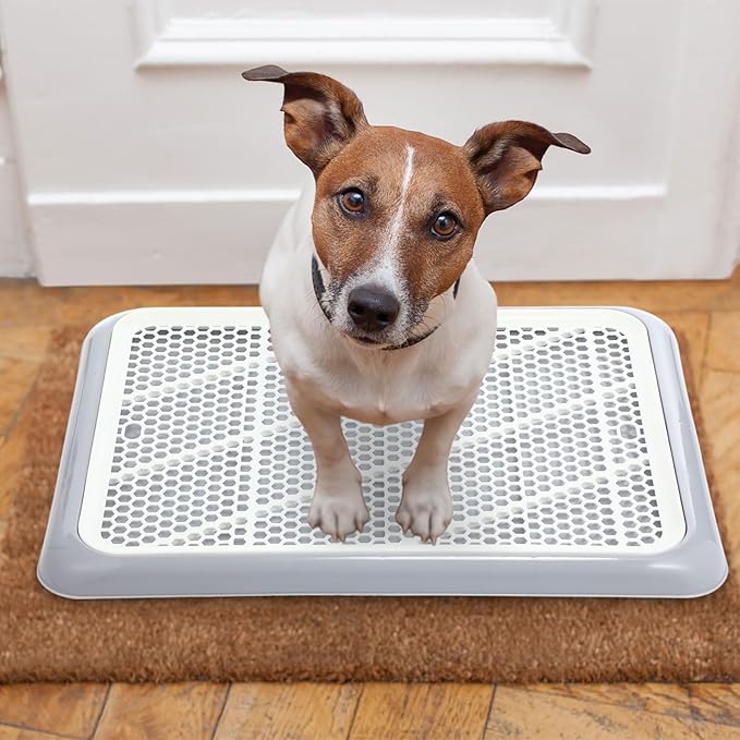 Mifoci Dog Training Pad Holder with Mesh Tray Non-Slip Leak Proof Puppy Potty Tray for Small Medium Large Dogs Pee Pad Holder Easy Clean Indoor Bathroom(19.69 x 14.17 Inch)