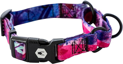 Wolfgang Heavy Duty Martingale Dog Collar with Quick Release Nylon Buckle for Walking & Training, Daydream Print, Small