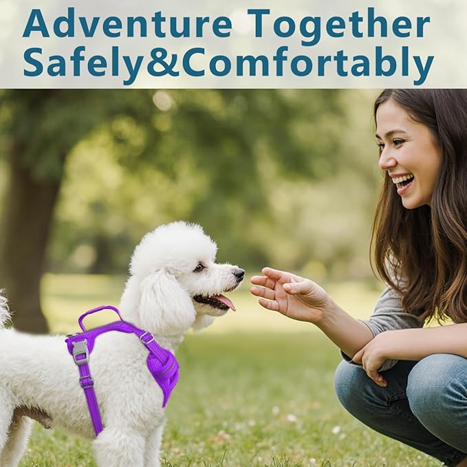 BARKBAY Dog Harness No Pull with ID Tag Pocket - Heavy Duty, Reflective, Easy Control for Large Dogs(Purple,XS)