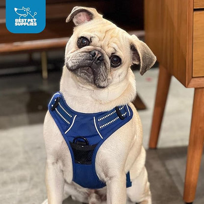 Voyager Dog Harness Dual Leash Attachment No-Pull Control Adjustable Soft but Strong Pet Harness for Medium and Large Dogs with 3M Reflective Technology, Royal Blue Lattice Nylon, S (Chest: 16-20")