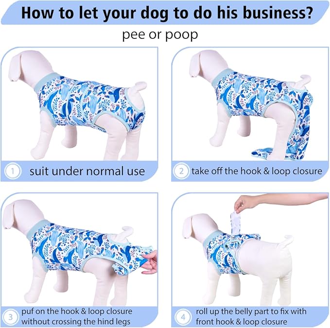 PetWarm Dog Surgery Suit, Cone of Shame Alternatives, Anti-Licking Surgical Recovery Pajamas for Dogs, Female Male Onesie for Dogs Spay Neuter, Dog Recovery Suit, Marine Animal Patterns, Blue, M