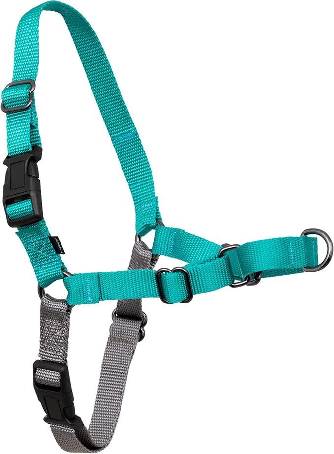 PetSafe Easy Walk Harness for Dogs - Pull-Free Walks - Patented Martingale Loop Design - Front Chest Leash Attachment - Comfort Straps - Breathable Harness Design - Large, Teal/Gray