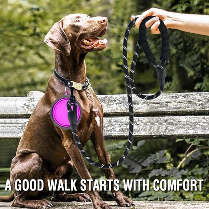 COOYOO 2 Pack Dog Leash 6 FT Heavy Duty - Comfortable Padded Handle - Reflective Dog Leash for Medium Large Dogs with Collapsible Pet Bowl Set 3-Black+Purple