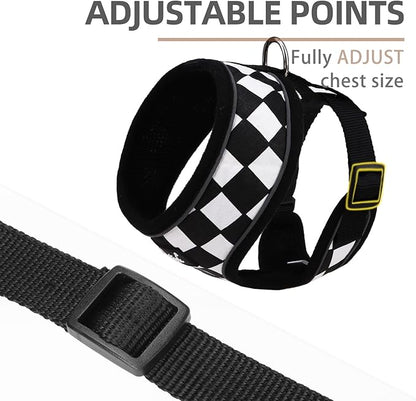 PUPTECK Soft Mesh Dog Harness and Leash Set Pet Puppy Cat Comfort Padded Vest No Pull Harnesses, Checkered Black&White, S