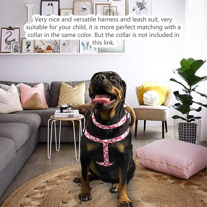 QQPETS Dog Harness Leash Set Adjustable Heavy Duty No Pull Halter Harnesses for Small Medium Large Breed Dogs Back Clip Anti-Twist Perfect for Walking (M(19"-26" Chest Girth), Daisy)