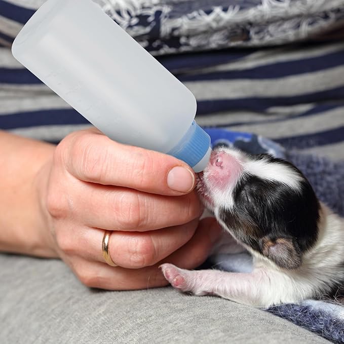 Abaodam 3Pcs Pet Nursing Bottles with Scale for Newborn Kittens and Puppies Easy-Feed Puppy Milk Bottles Reusable Kitten Feeders for Small Pets Convenient and Practical
