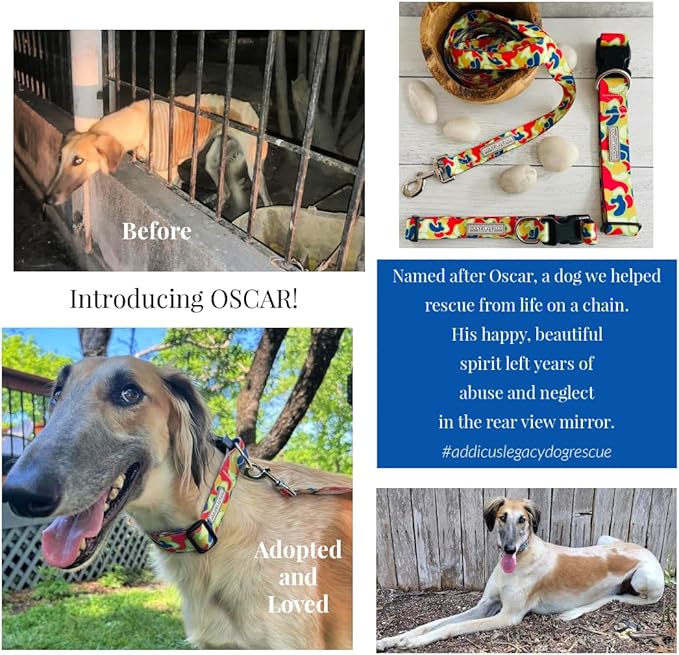 Lucky Love Dog Martingale Dog Collar & Leash - Adjustable, No-Slip, Durable, Comfortable, Soft Webbing, & Stylish Patterned Collar & Leash Set for Male and Female Dogs - Oscar Combo, Large
