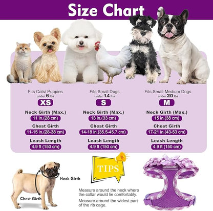 EXPAWLORER Cute Dog Harness and Leash Set - Purple Girl Dog Harness Checkered Step-in Design, Easy Adjustable No-Choke Lightweight Breathable Vest for Puppy Small Dogs Cats Outdoor Walking, Small