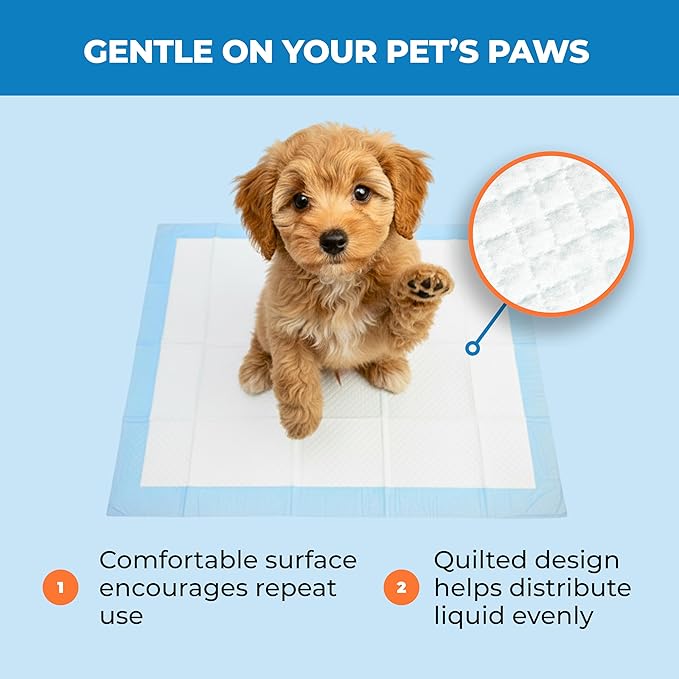 Best Pet Supplies XL (36 x 28 Inches) Puppy Pads 100 Count - Super Absorbent Dog Training Pads, Quick-Dry, Odor Control, Disposable Pee Pads, Leak-Proof Wee Wee Pads for Indoor Dogs – Baby Blue