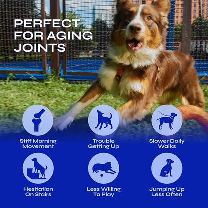 Glucosamine for Dogs - 32,500 mg per Pack with Chondroitin, MSM, Collagen - Dog Glucosamine Chews for Mobility Support - Hip and Joint Supplement for Small, Medium, Large Breeds - 130 Soft Duck Treats