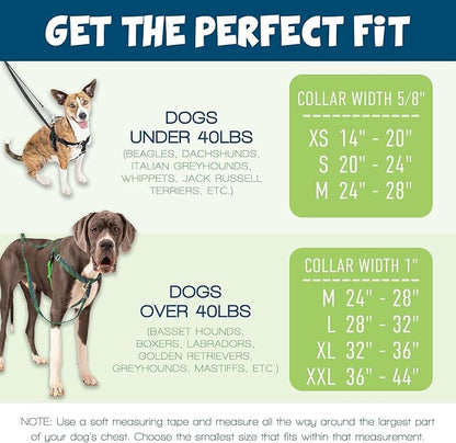 2 Hounds Design Freedom No Pull Dog Harness, Adjustable Harness, Easy Walking & Comfortable Control, Fits Small, Medium & Large Dogs, Solid Colors, Made in USA, 1" MD, Black