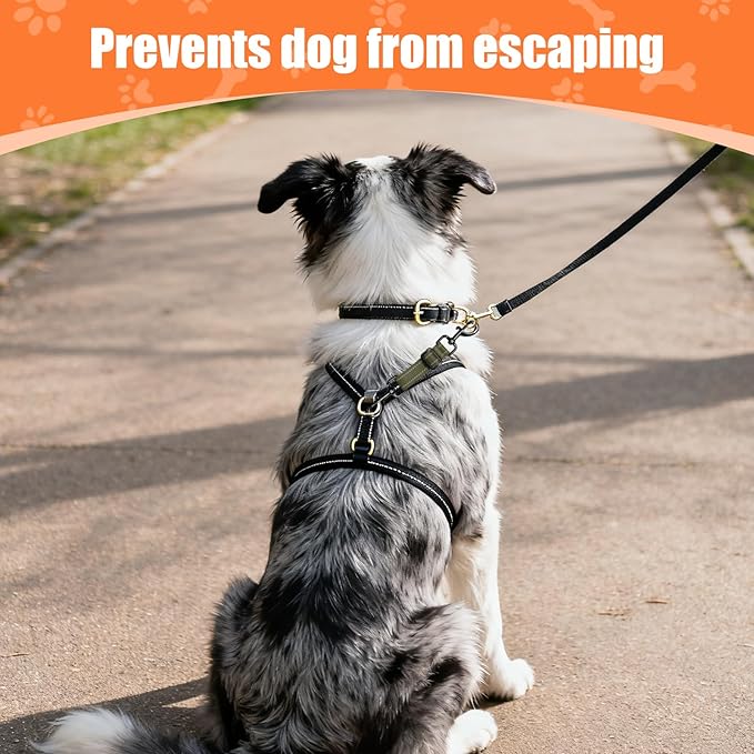 Dog Collar Safety Clip, Reflective Double-Ended Backup Connector for Harness to Collar, Adjustable Safety Clip for Prong, Pinch Collars, Prevents Escapes & Accidental Disconnection
