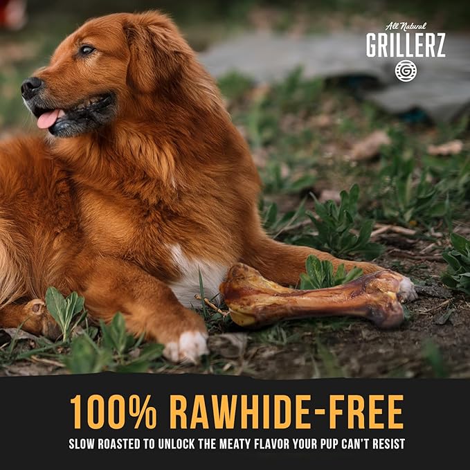 Scott Pet Grillerz Vacuum Sealed Ham Bone, 1 Count, Rawhide Free, All Natural Treat for All Breeds, Long Lasting, Easy to Digest, Dog Chew for Healthy Teeth