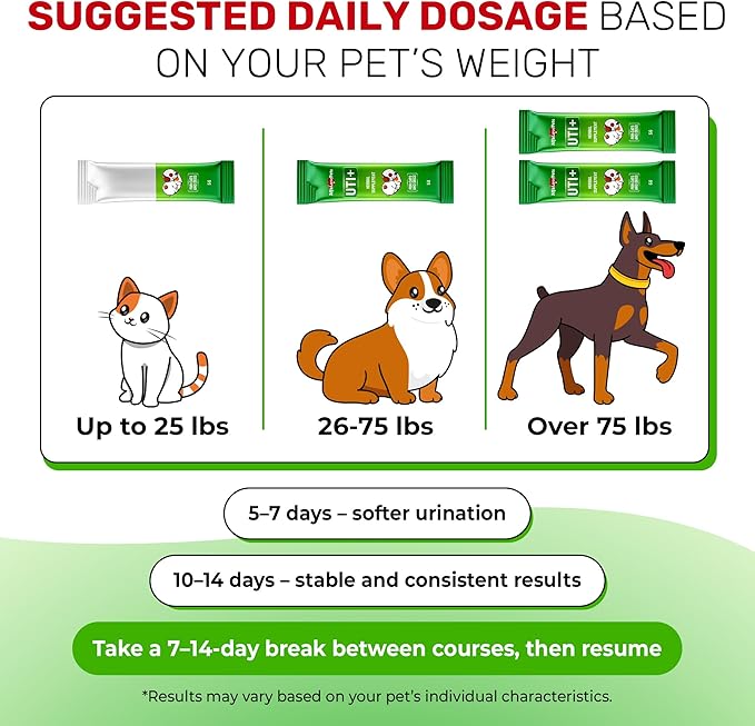 Cat UTI Treatment for Frequent Urination, Bladder & Kidney Irritation – Squeezable Dog UTI Treatment for Natural Care – Creamy UTI+ Cranberry Supplement for Dogs with Chicken Flavor – 10 Sticks x 5 g