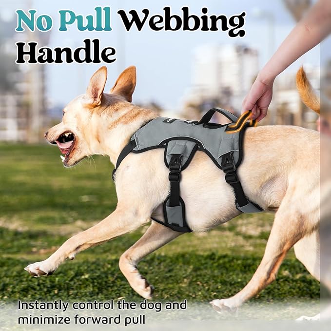 rabbitgoo Escape Proof Dog Harness, Soft Padded Full Body Pet Harness, Reflective Adjustable No Pull Vest with Lift Handle and Leash Clip for Large Dogs Walking Hiking Training, XL, Grey