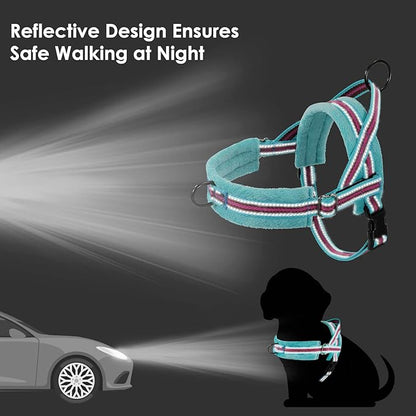 Lukovee No Pull Dog Harness and Leash Set, Soft Padded Small Dog Harness, Neck & Chest Adjustable Reflective Vest Puppy Harness with 4ft Lightweight Anti-Twist Dog Leash for Small Dogs (XS, 01-LBL)