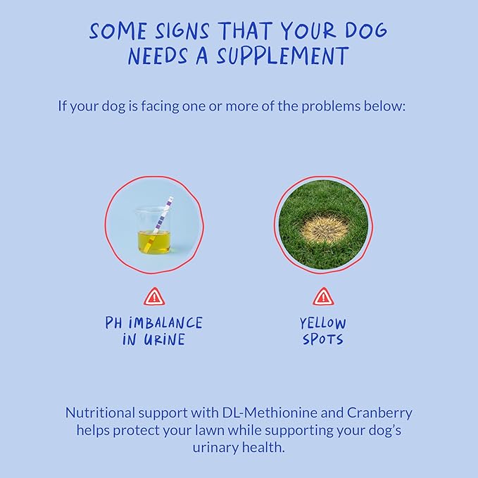 Grass Burn Spot Soft Chews - Pee Grass Spot Saver Caused by Dog Urine - Dog Urine Neutralizer for Lawn, with Canine Enzyme Blend, Probiotics, and Cranberry.