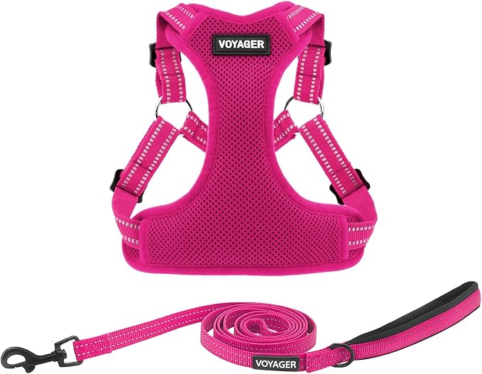 Best Pet Supplies Voyager Adjustable Step-in Flex Breathable Mesh Dog Harness for Small Medium Large Dogs Leash Set (Fuchsia), M