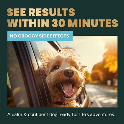 VetriScience Clinically Tested Composure Calm & Confident Chews - Supplement for Dogs with Anxiety, Stress & Fear with L-Theanine for Thunderstorms, Fireworks or Travel, Bacon, 60 Count
