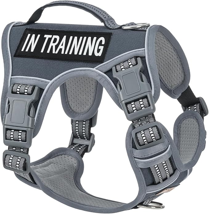 AUNZO No-Pull Dog Harness for Small Dog Breeds, Anti-Escape Easy Walking Reflective Adjustable Lightweight Dog Vest with Breathable Oxford Material, Easy on Easy Off with Neck Buckle, Gray XS