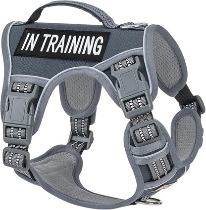 AUNZO No-Pull Dog Harness for Small Dog Breeds, Anti-Escape Easy Walking Reflective Adjustable Lightweight Dog Vest with Breathable Oxford Material, Easy on Easy Off with Neck Buckle, Gray XS