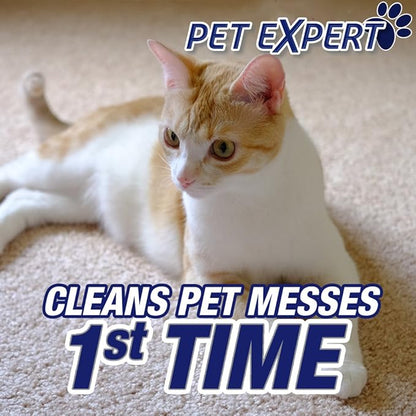 Resolve Pet Expert Stain and Odor Remover, Carpet Cleaner, Pet Stain and Odor Remover, Carpet & Upholstery Cleaner - Removes Stains and Odors, 22 oz (pack of 6)