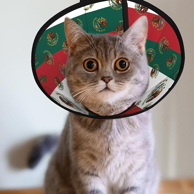 Breathable Dog Cones for Small Medium Large Dogs, Mexican Flag Recovery Collars for Puppies and Kittens After Surgery, Elizabethan Collar to Stop Licking