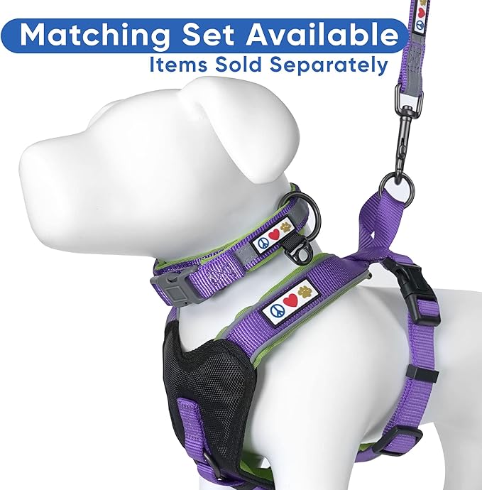 Pawtitas 6 FT Padded Dog Leash with Comfortable Neoprene Padding Handle - Purple Lead | Small Reflective Dog Leash with Highly Reflective Band Perfect for Extra Small and Small Dogs and Puppies.